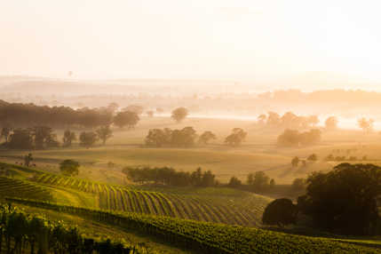 Découvrez les vignobles du nord de Sydney pendant votre road trip en visitant Hunter Valley pour en apprendre plus sur la fabrication du vin australien.