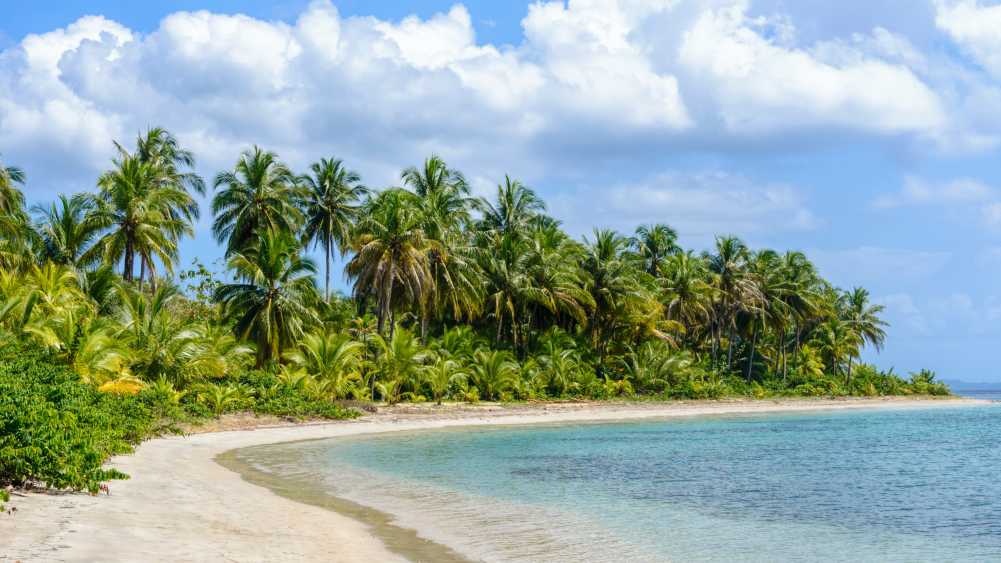 Strand mit Palmen in Bocas del Toro Panama
