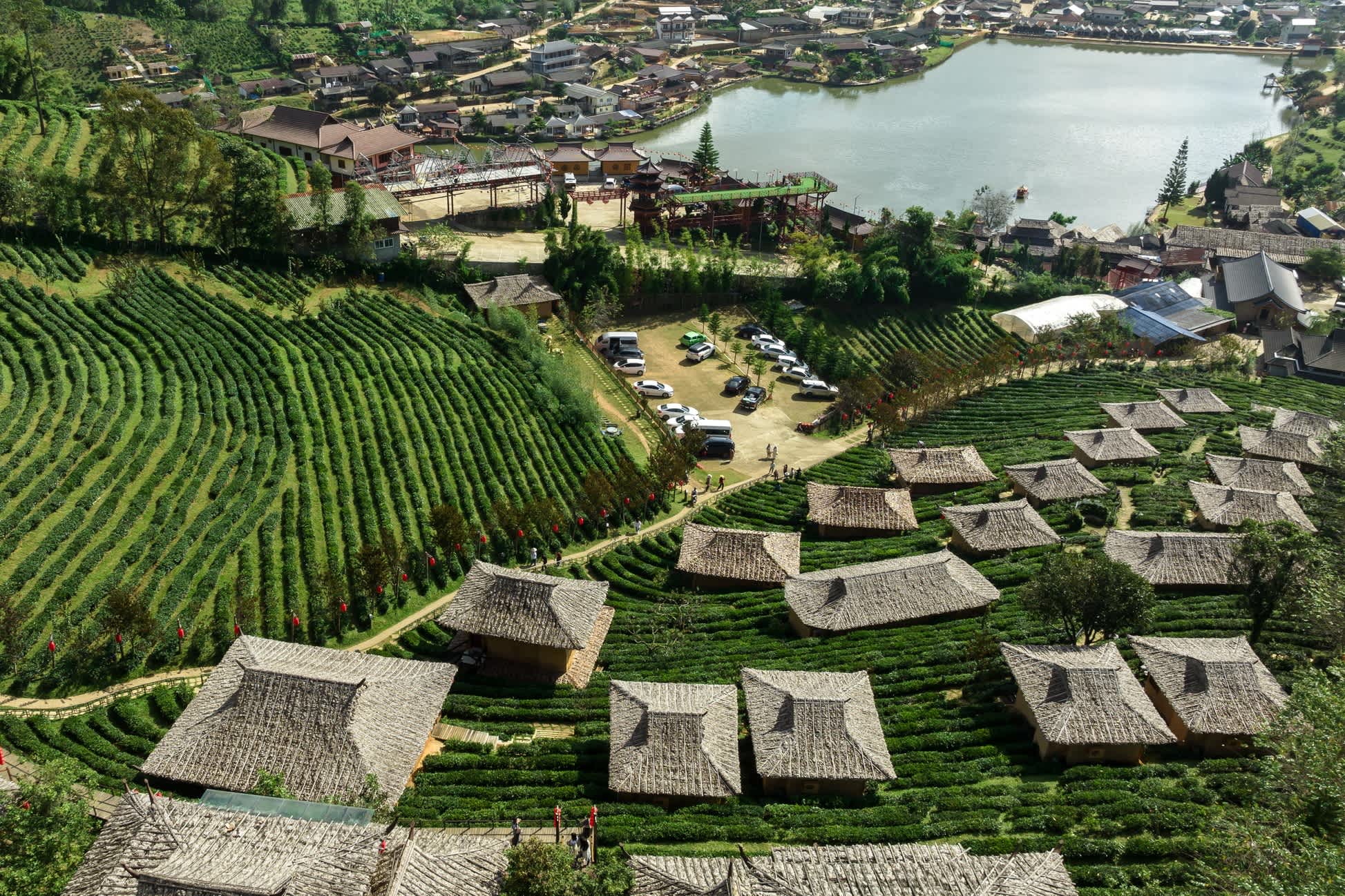 Vue aérienne d'une plantation de thé vert et de collines dans le village de Ban Rak Thai, Thaïlande.