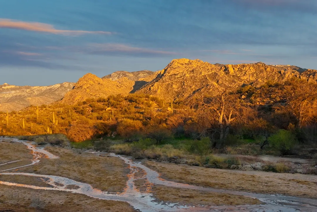 Catalina State Park Catalina State Park
