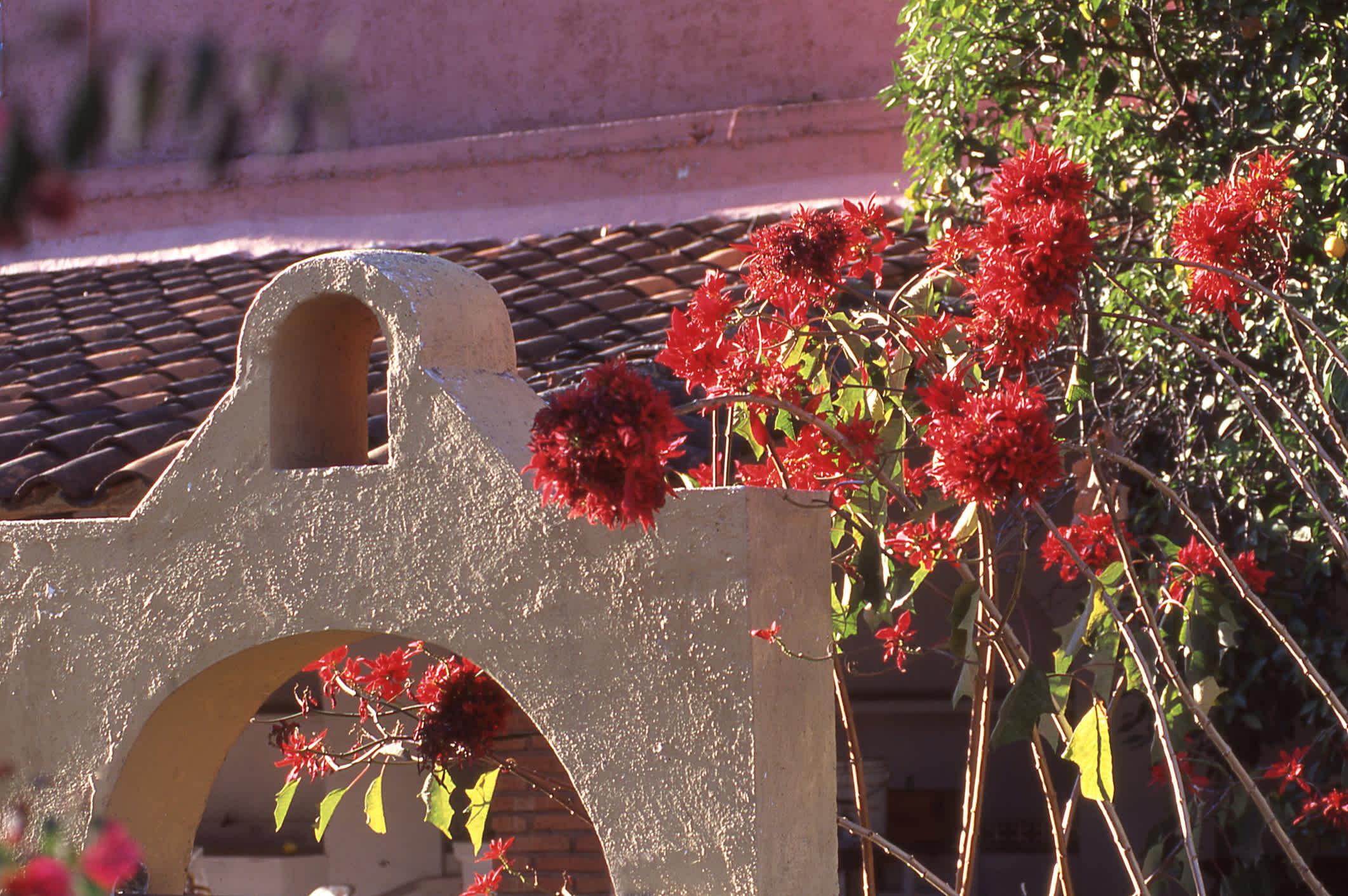 Verzierte Tür und Blumen alten Gebäude Tehuantepec
