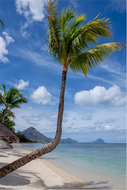 Safari au parc Kruger et plages de l’île Maurice - Image 1