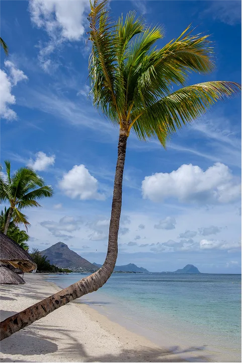 11 Tage Mauritius: Tropenzauber & Traumstrände