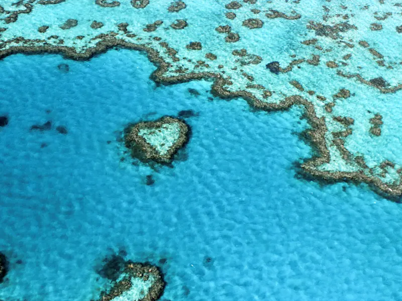 Whitsunday Island, Australien Herzenförmiges Korallenriff im türkisfarbenen Wasser des Great Barrier Reef. Queensland, Australien.