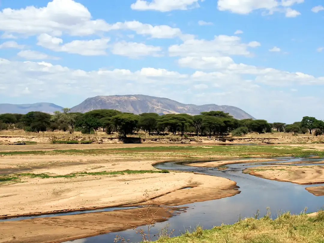 Trockener Flusslauf mit Bäumen und Bergen im Hintergrund. Tarangire-Nationalpark, Tansania.