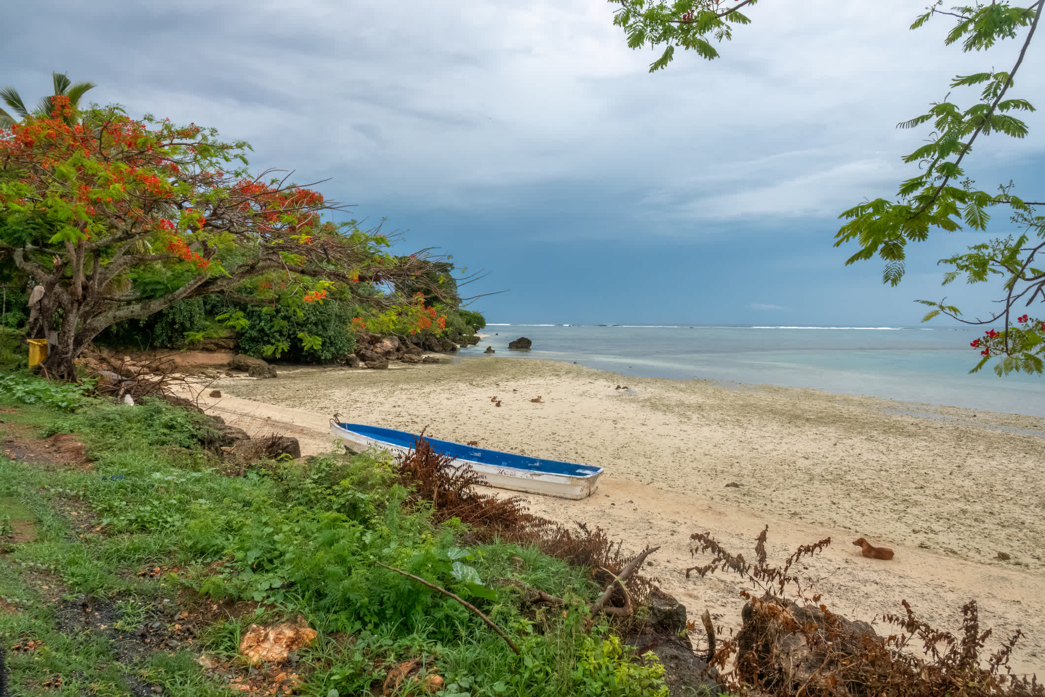 Blick auf den Strand auf Viti Levu, Fidschi. 