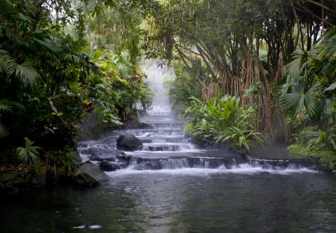 Costa Rica La Fortuna Hot Springs