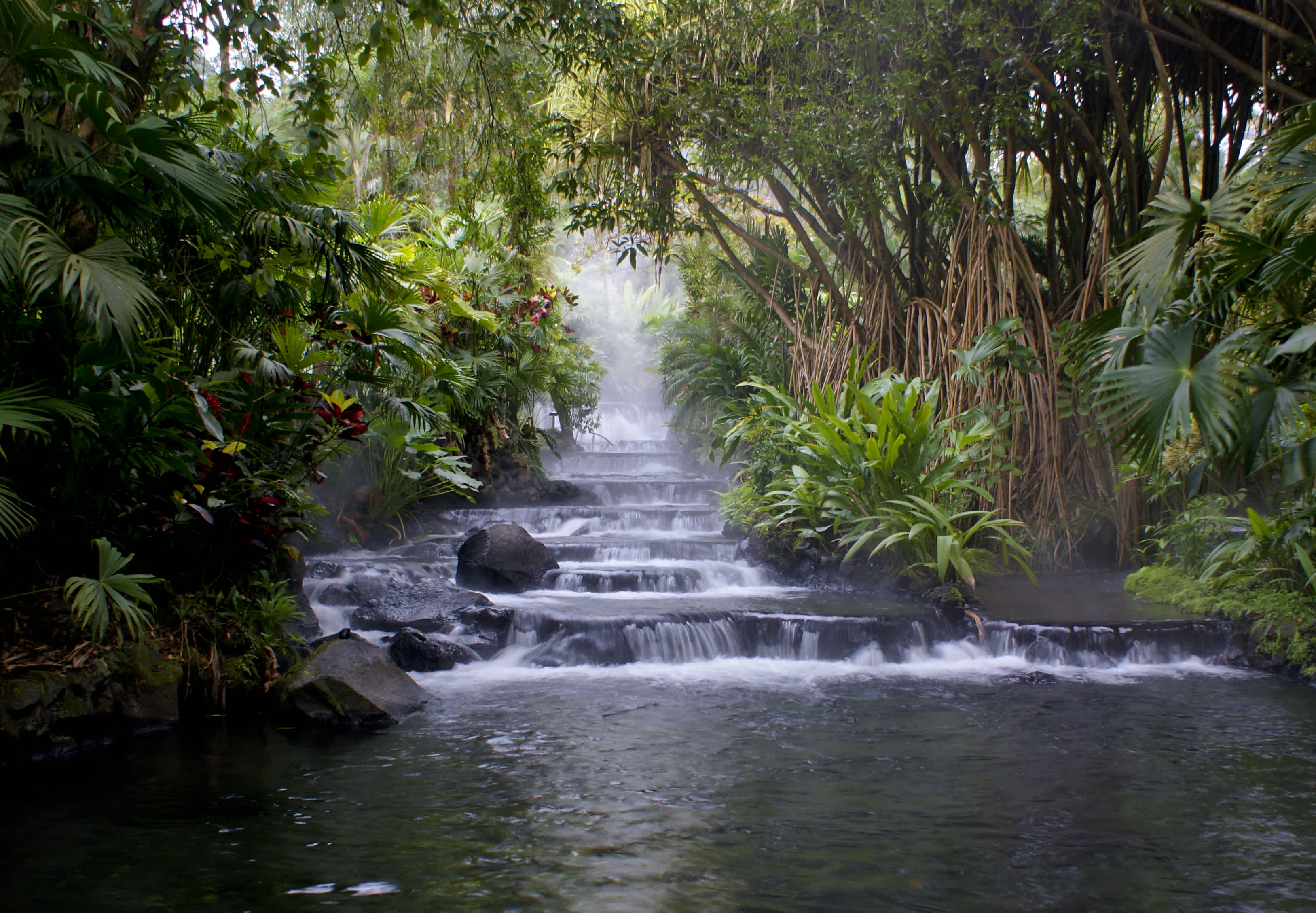 Sources d'eau chaude qui descend en cascade vers la Fortuna, Profitez des sources thermales pendant votre voyage au Costa Rica.