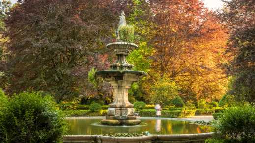 Blick auf einen alten Brunnen umgeben von Bäumen und Büschen im botanischen Garten von Coimbra