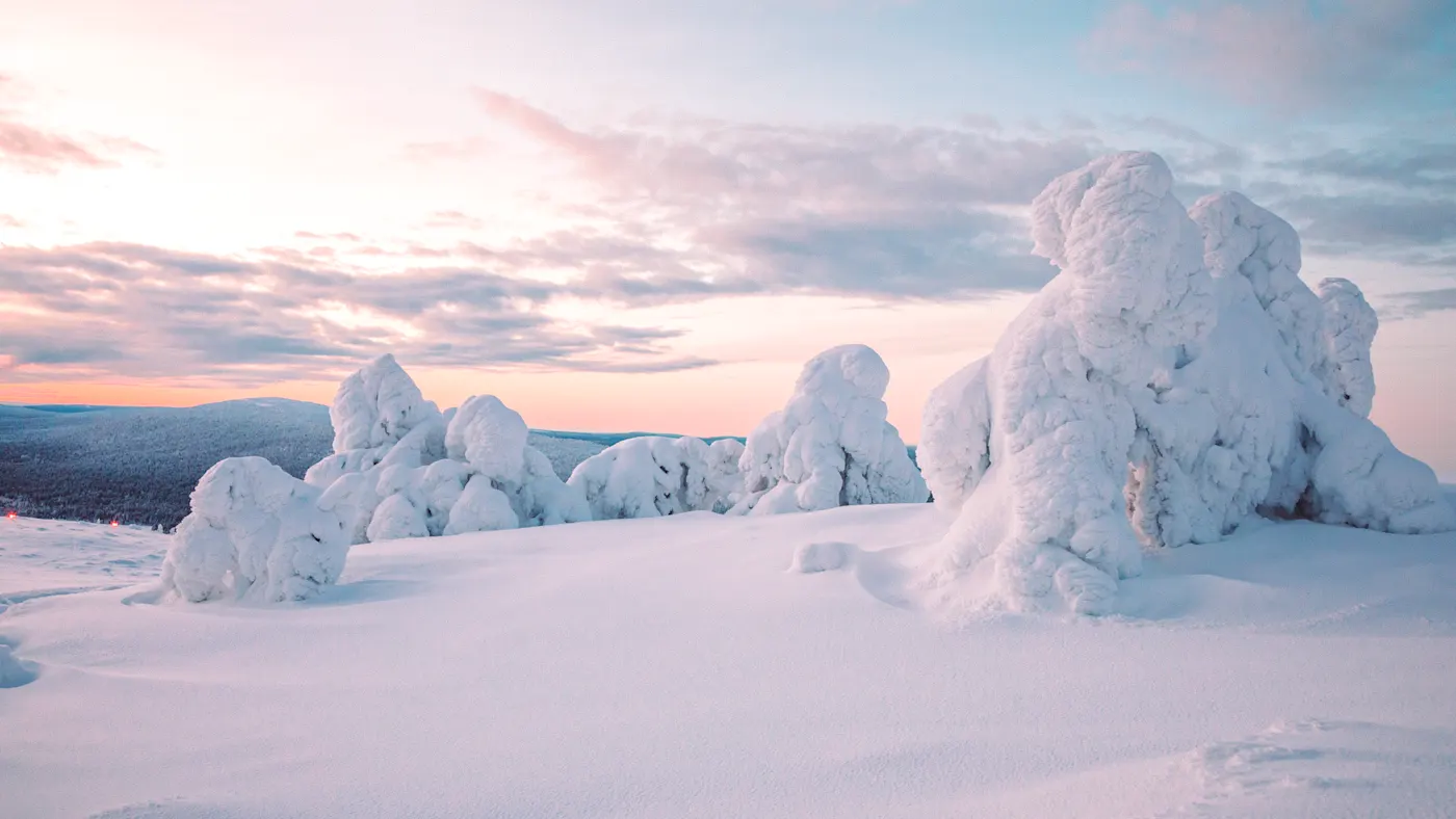 Verschneite Bäume und sanfte Hügel bei Sonnenuntergang, Lappland, Finnland.