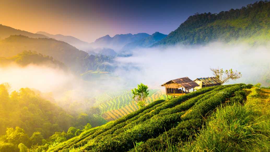 Berge_im_Morgennebel_in_der_Provinz_von_Chiang_Mai_Thailand