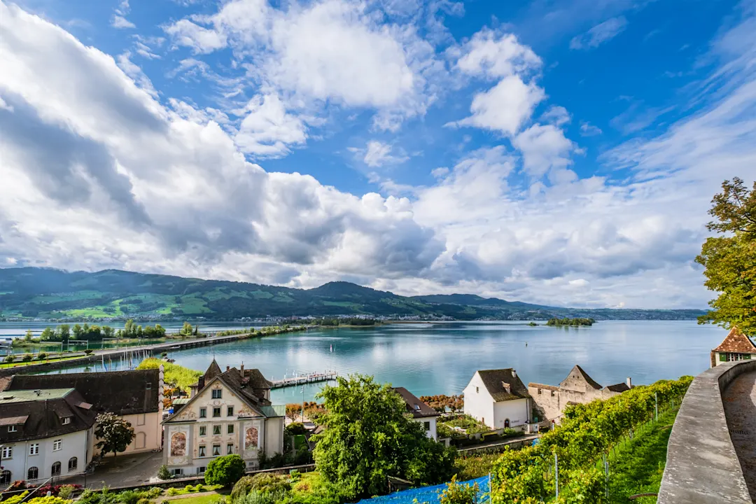 Lake Zurich, Rapperswil, Vineyard, Switzerland, St Gallen Canton