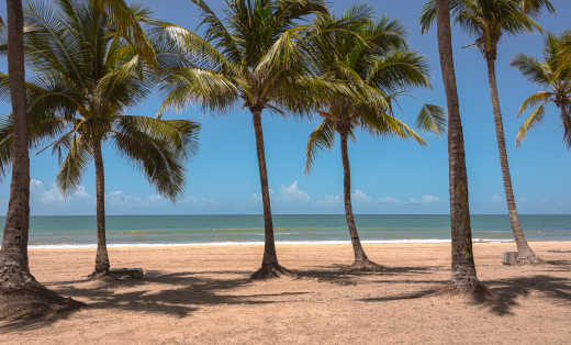 Recife Boa Viagem Strand