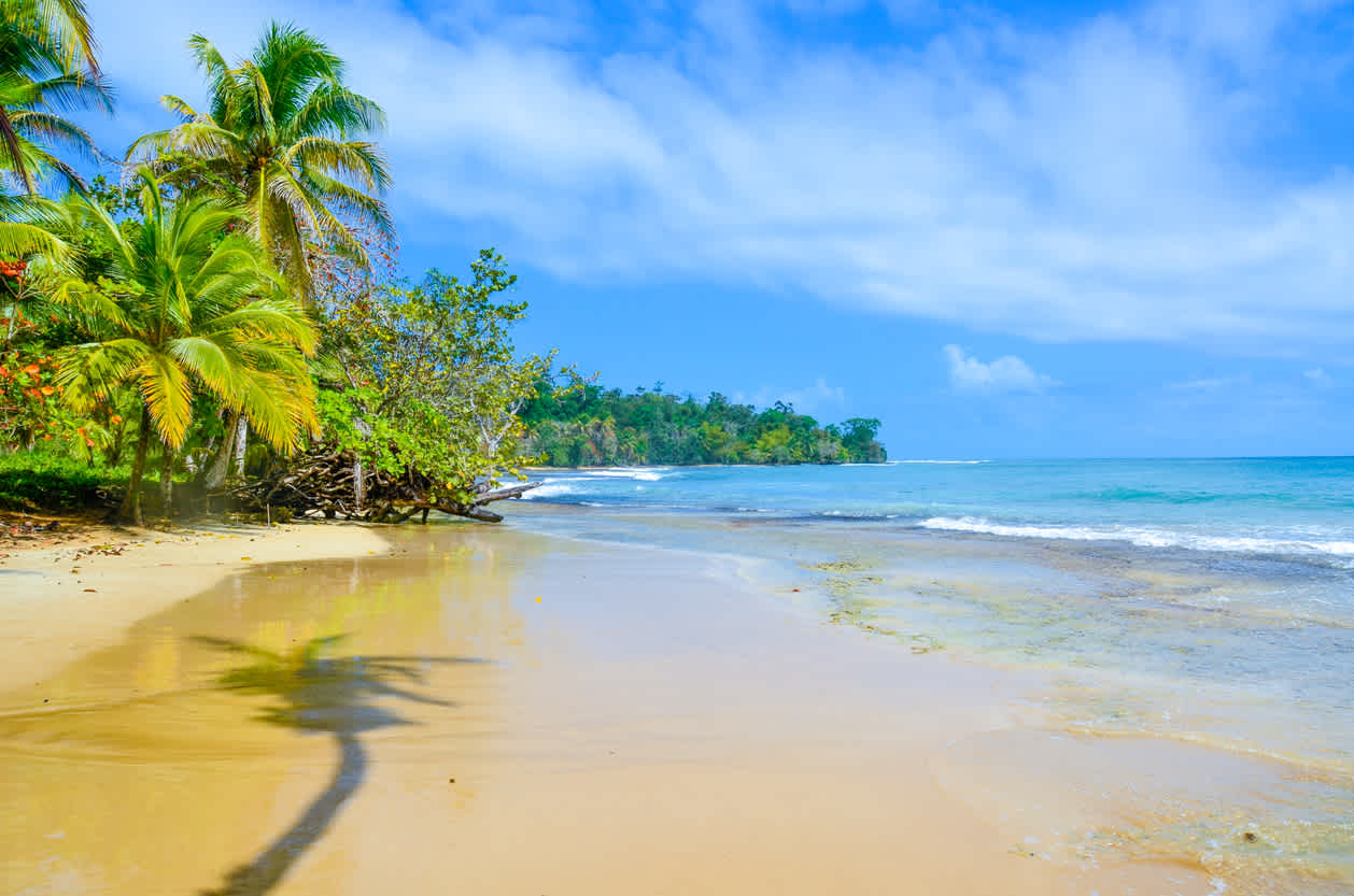 Blick auf den paradiesischen Strand von Colon Island in Panama