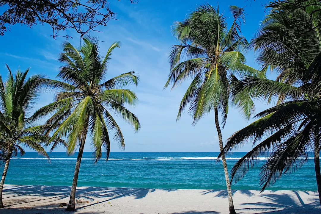 Kenia, Tiwi Strand Strand mit Palmen in Kenia