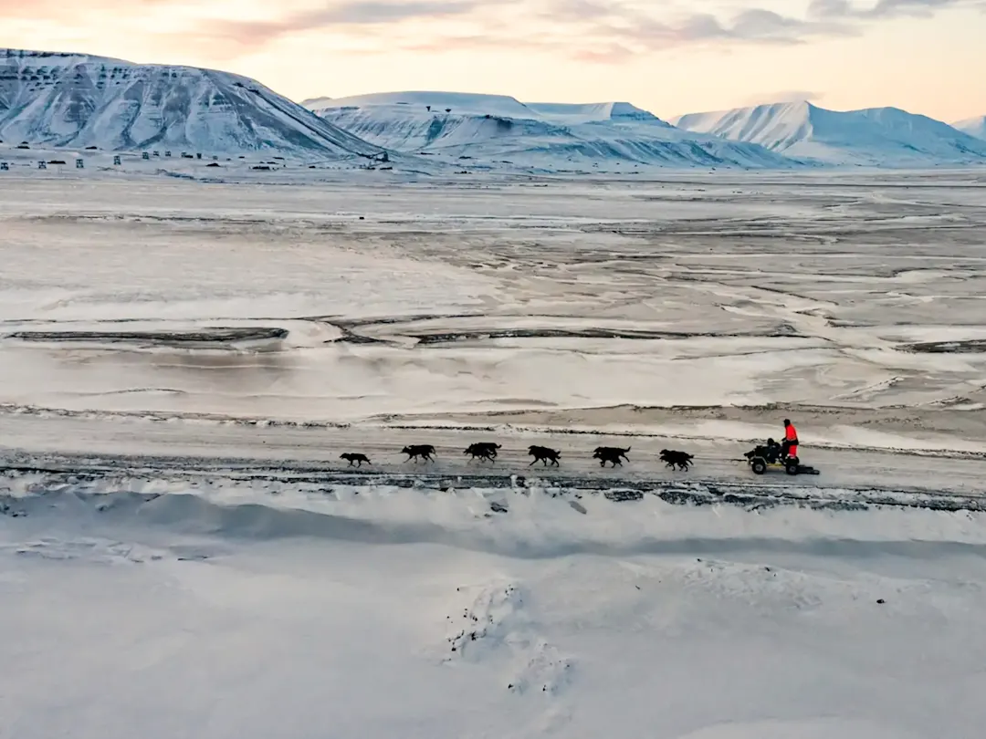 . Hundeschlitten-Training in eisiger Polarlandschaft. Longyearbyen, Svalbard, Norwegen.