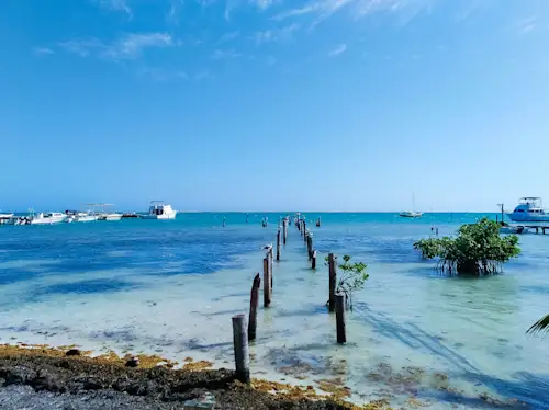 Hervorragend organisiert