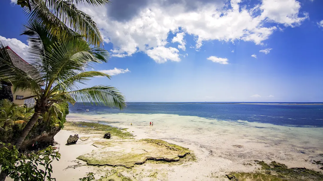 Tropischer Strand mit Palmen, weißem Sand und klarem Wasser unter blauem Himmel. Mombasa, Coast, Kenia.