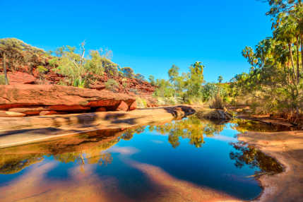 Authentique, préservée et bien loin des cités côtières, découvrez Alice Springs au cœur du désert australien pendant votre séjour.