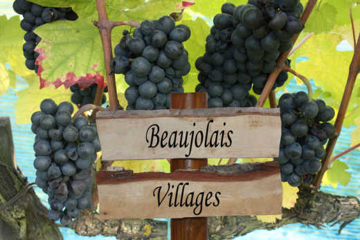 Profitez de vos vacances à Lyon pour goûter au vin de la région, avec modération, le Beaujolais.