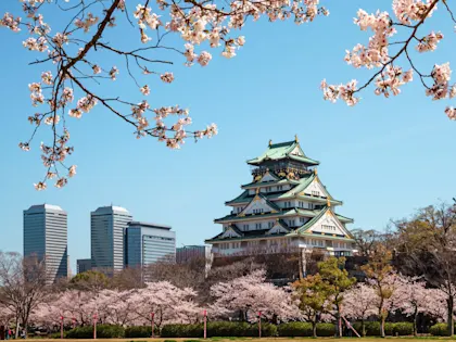 Japan Rundreise 14 Tage: 2 Wochen durch Tokio, Kyoto und Osaka - Image 1