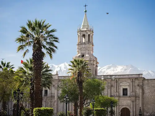 Kompetente und umfassende Beratung