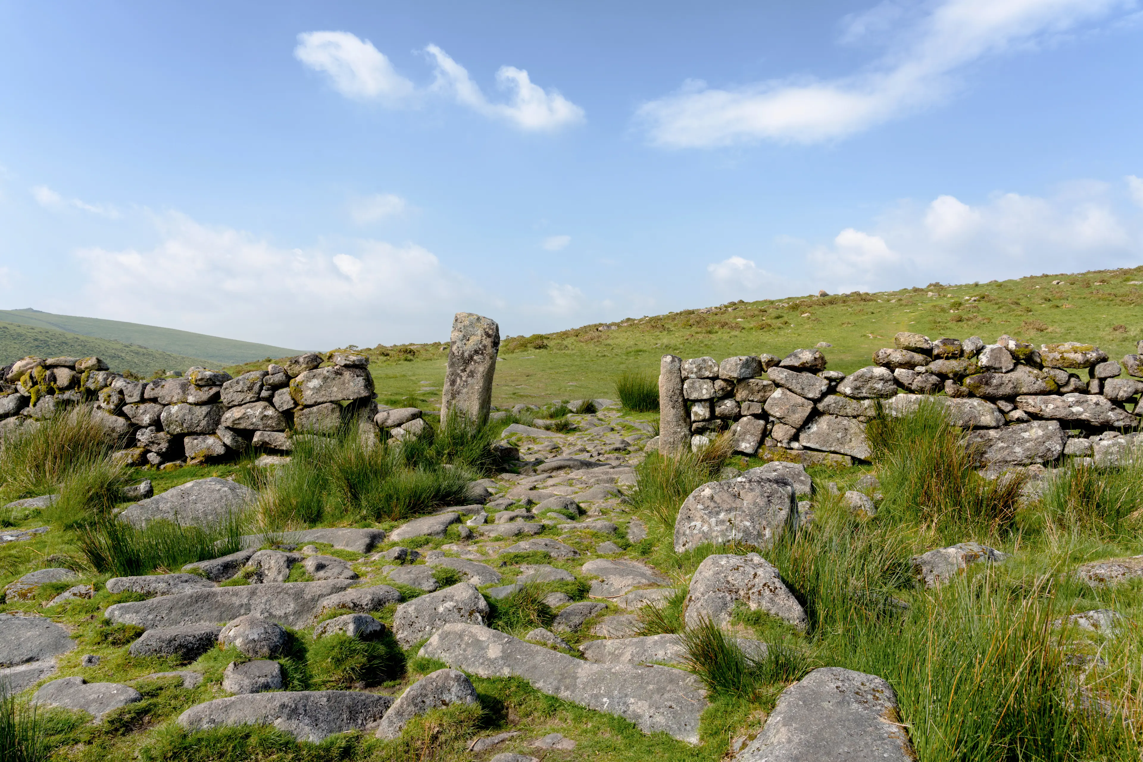 England, Devon, Dartmoor NP England, Devon, Dartmoor NP