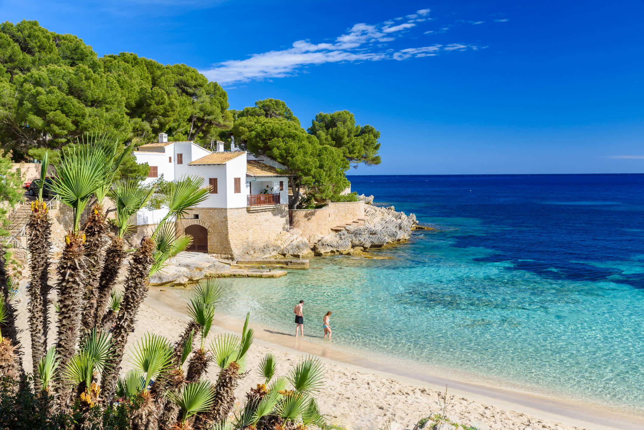Blick auf einen Strand auf Mallorca.