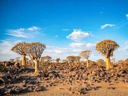 Autotour en Namibie - Image 1