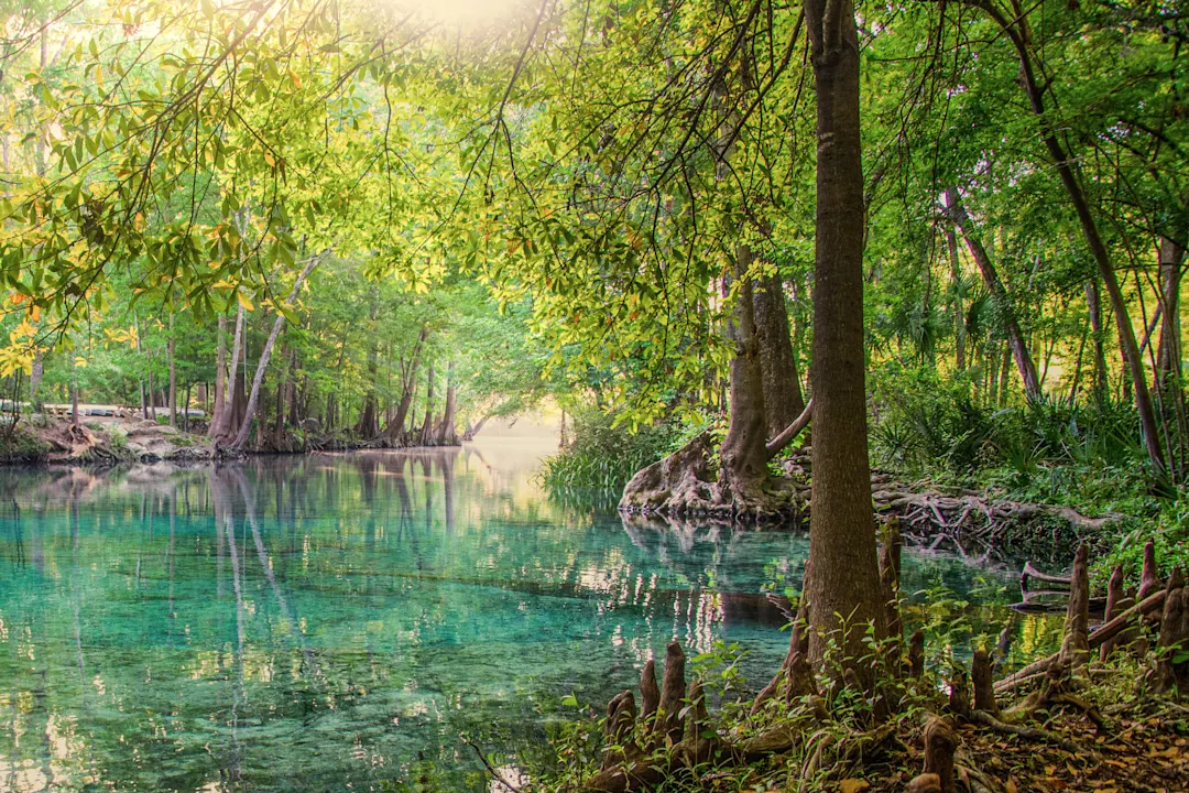 Lagune im Everglades-Nationalpark