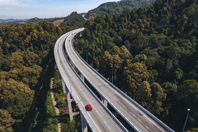 Autobahn unter blühenden Bäumen