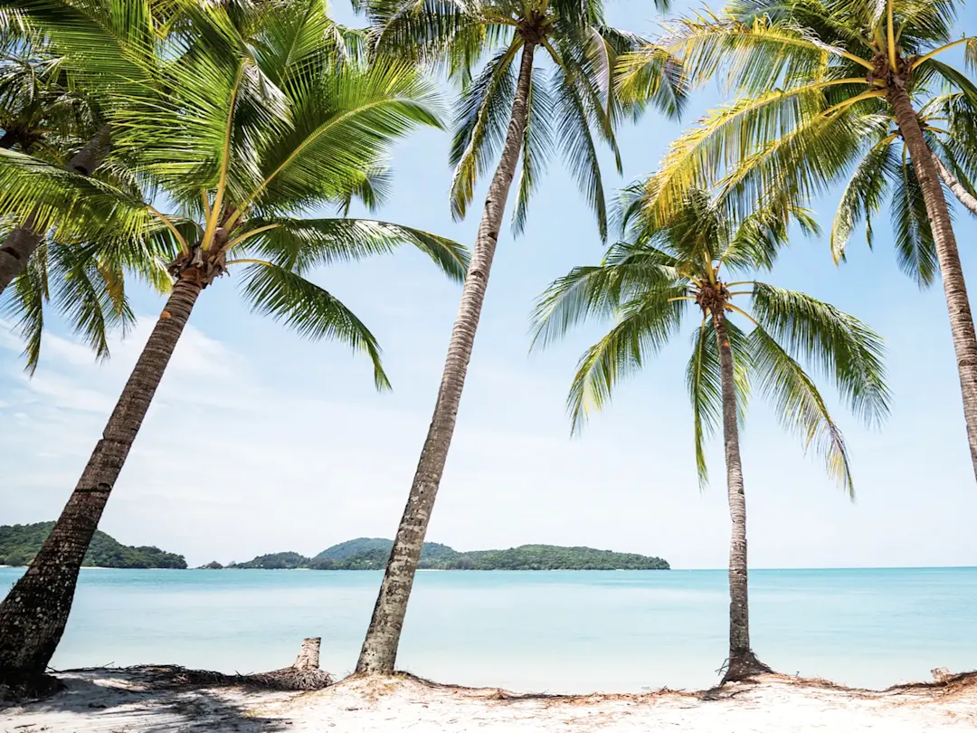 Tropischer Sandstrand mit Palmen und klarem Meer. Cenang Beach, Langkawi, Malaysia.