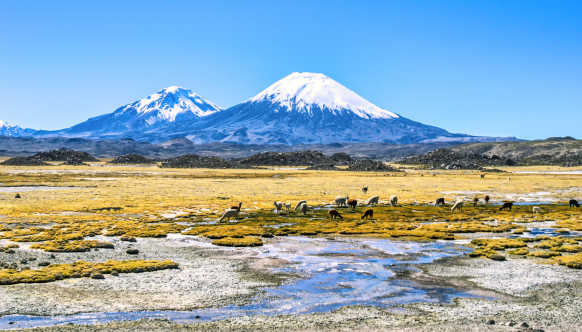 Nationalpark Lauca in Chile