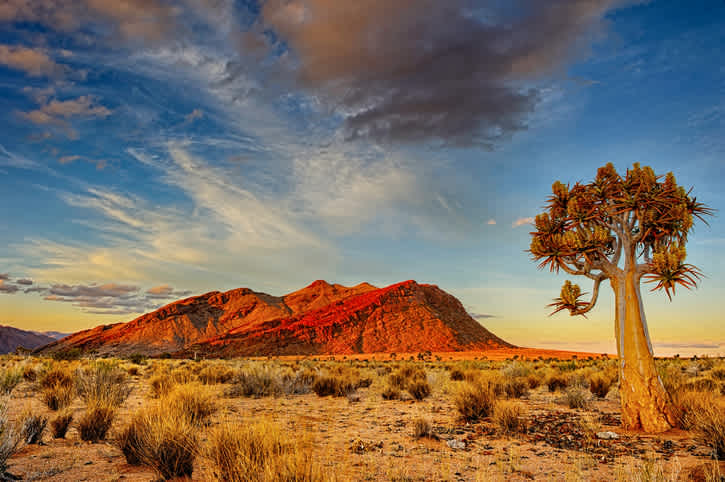 Faites une étape dans le désert de Kalahari pendant votre voyage en Namibie et admirez de magnifiques couchers de soleil en plein désert