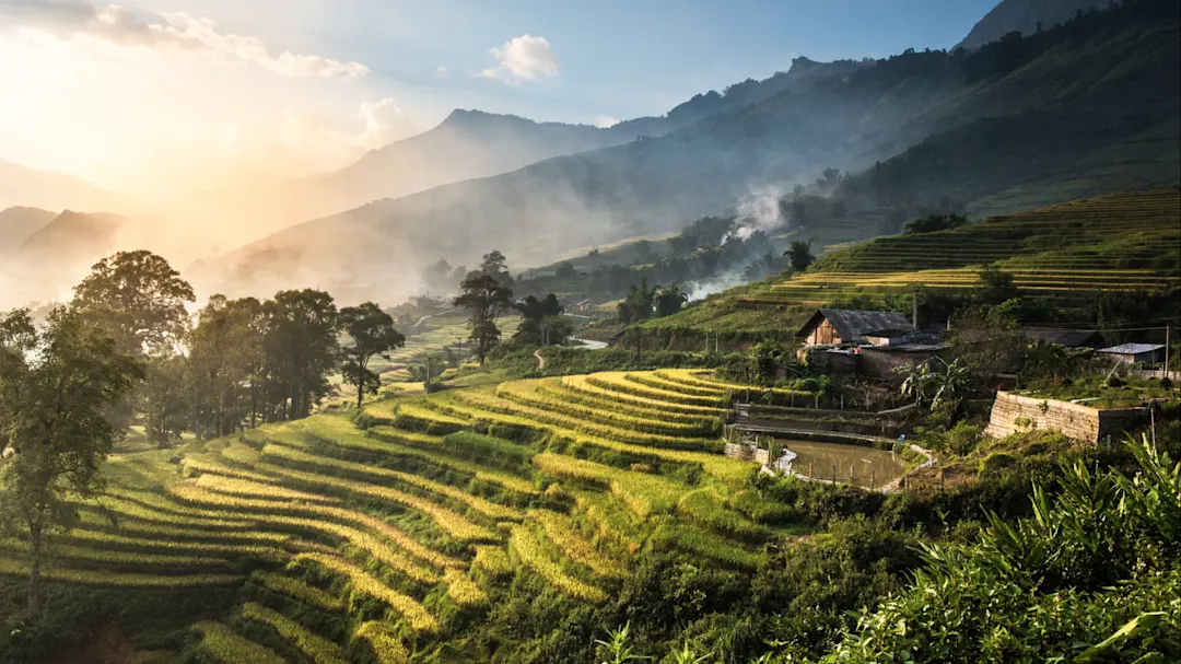 Reisfelder in grünen Terrassen mit Berglandschaft im Morgennebel. Sapa, Vietnam.
