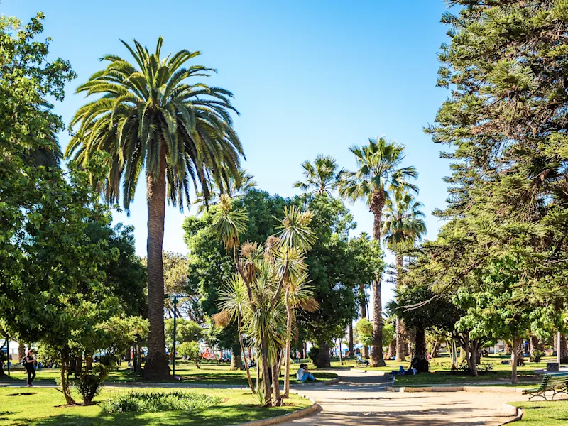 Valparaíso, Región de Valparaíso, Chile Grüner Park mit Palmen und Spazierwegen bei Sonnenschein. Viña del Mar, Región de Valparaíso, Chile.