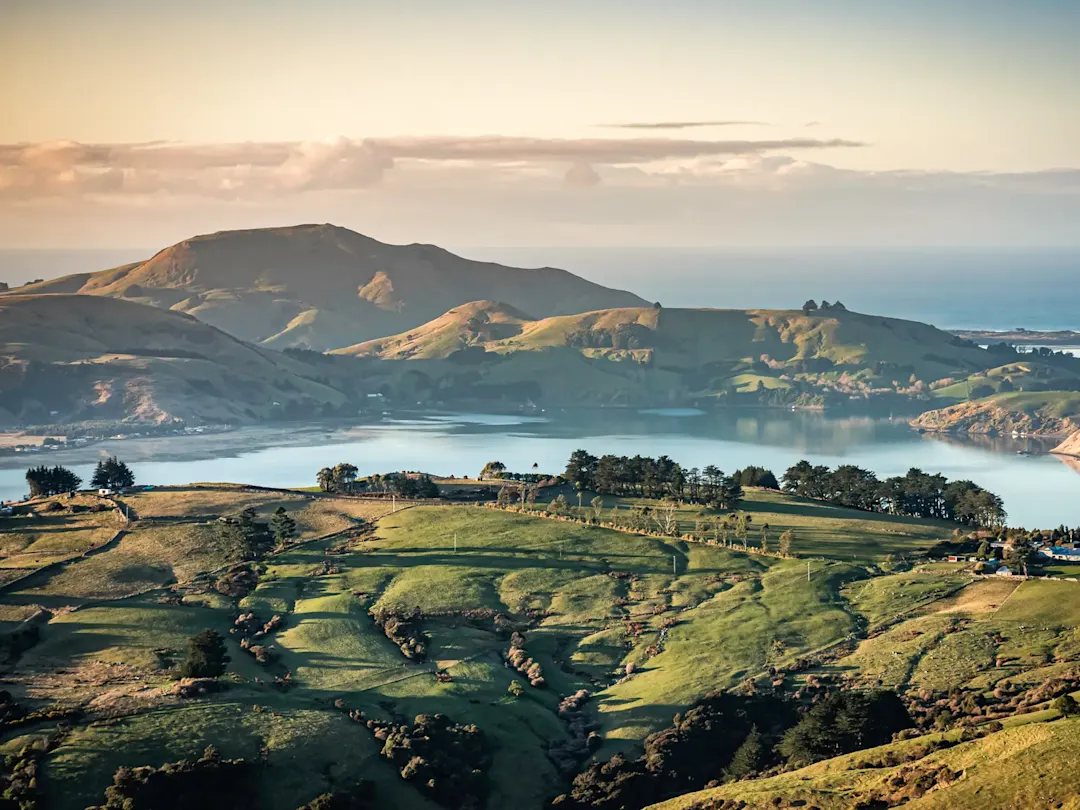 Grüne Hügel und Küstenblick. Otago Peninsula, Otago, Neuseeland.
