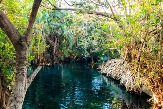 Sources chaudes de Kikuletwa près de Moshi, Tanzanie