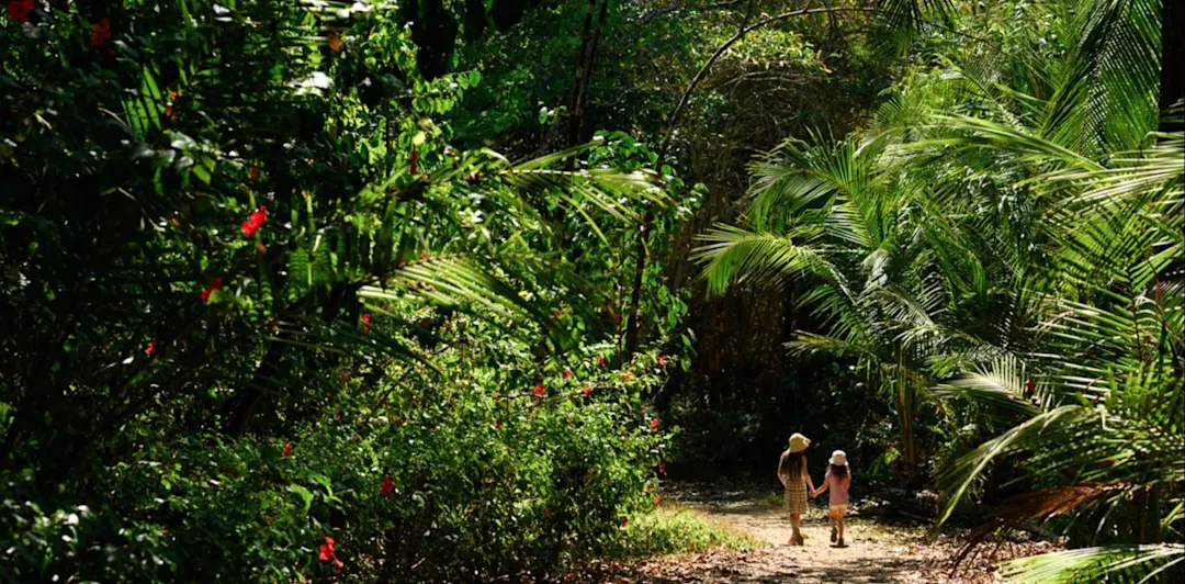 Zwei Kinder, die durch den Regenwald in Costa Rica spazieren