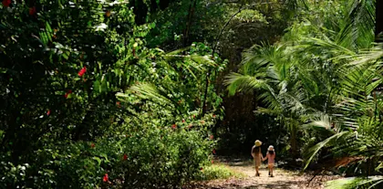 Voyage au Costa Rica avec enfants - Image 1