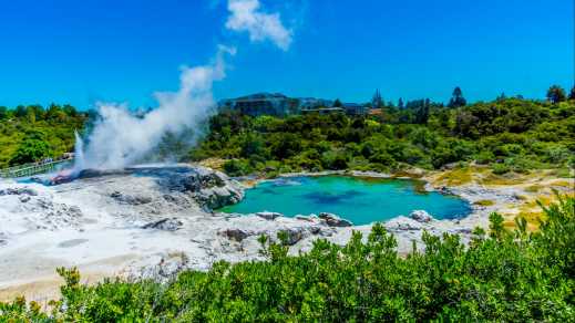 Blick auf den Rotorua Geysir und Schlammbecken, Rotorua, Neuseeland