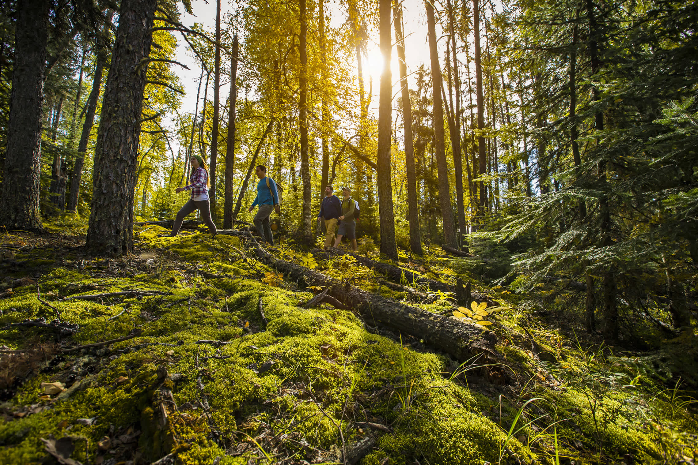 Menschen wandern durch den Prince Albert National Park