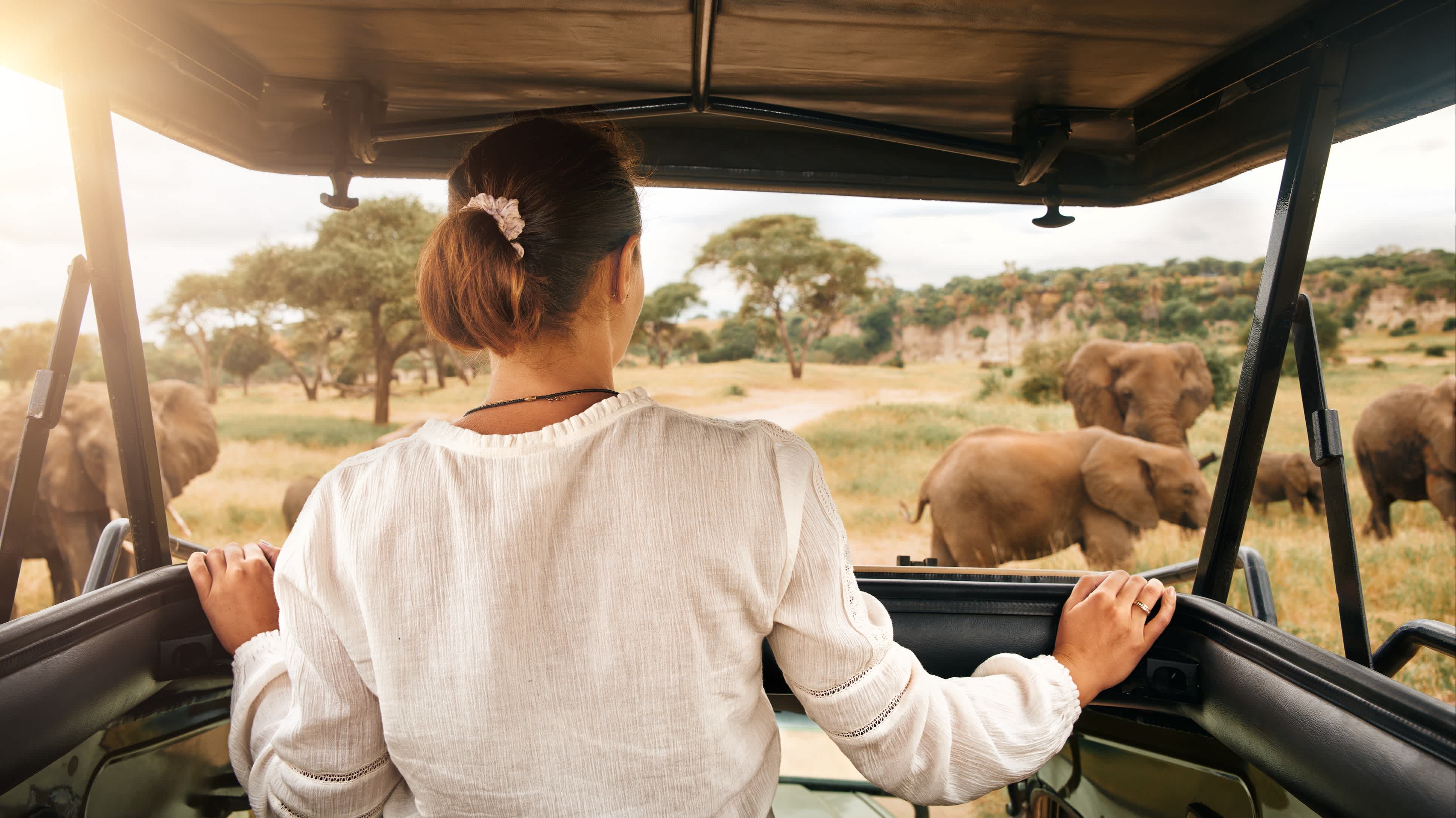 Frau in einem Safari-Jeep beobachtet einen Elefanten