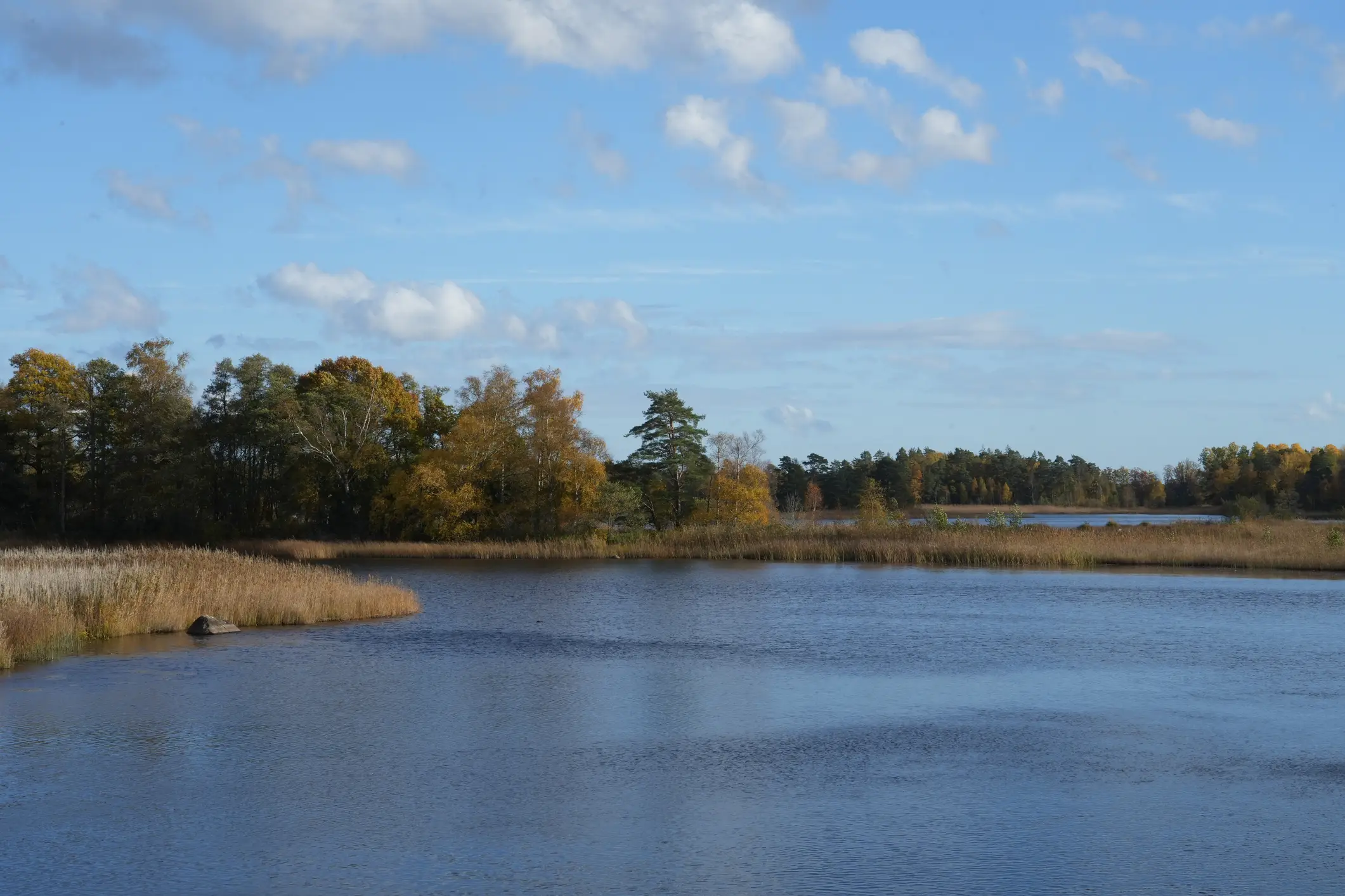 Asnen - Åsnen – Stockfoto Asnen - Åsnen – Stockfoto