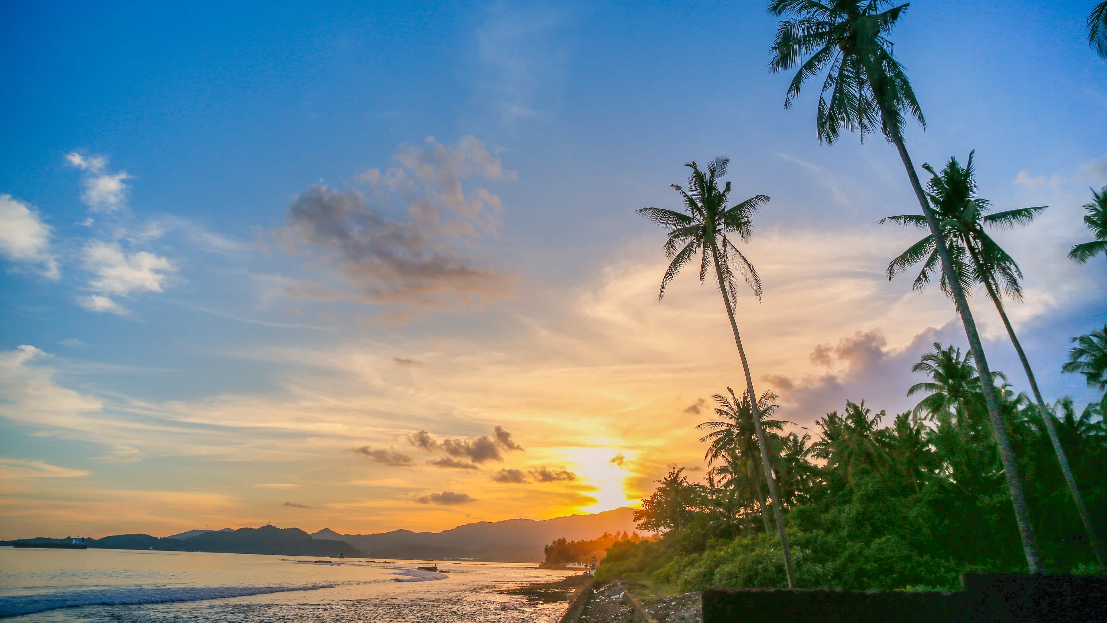 Palmen im Sonnenuntergang in Candi Dasa Bali