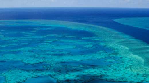 Embark on a Great Barrier Reef tour to discover the beauty of Australia.