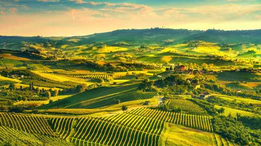 Vignobles Langhe Coucher de soleil panoramique, Grinzane Covour, Piémont, Italie Europe