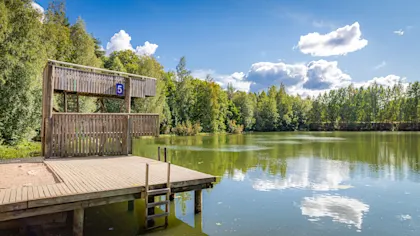 Finnland Roadtrip Seenplatte - Image 1