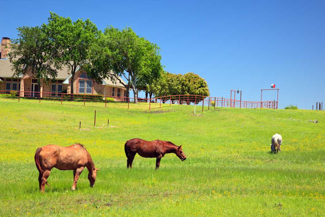 Texas Rundreise 2 Wochen ab Dallas mit Ranch | Tourlane