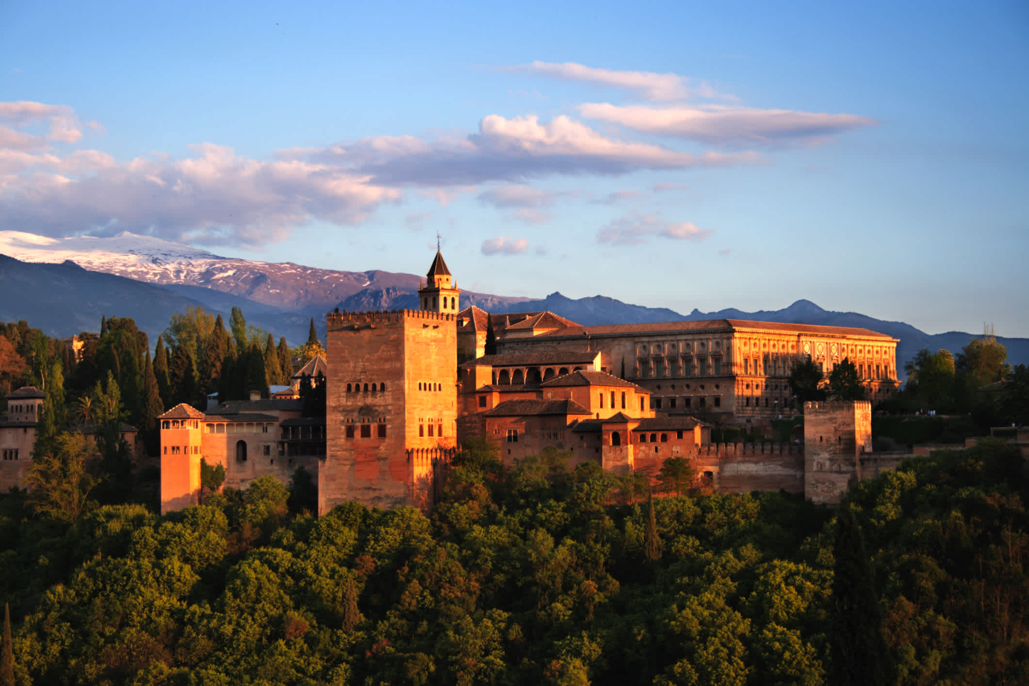 Blick auf die Alhambra in Granada - ein Muss bei einem Granada Urlaub